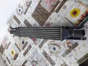 Ladeluftkühler FIAT PUNTO (188_) 1.3 JTD 16V