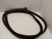 Türgummi links vorne BMW 6er Coupe (F13) 7221325