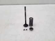 Auslassventile NISSAN QASHQAI / QASHQAI +2 I (J10, JJ10) 2.0 dCi