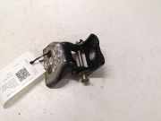 Türscharnier hinten rechts Peugeot 308 I ()