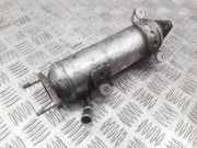 AGR-Kühler CHEVROLET CAPTIVA (C100, C140) 2.0 D C101553 96817829