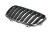 Vorderer oberer Gitter BMW 2 Coupe (F22, F87) M 235 i 7295525 7295521