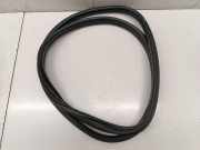 Türdichtung Mini Mini Countryman (F60)