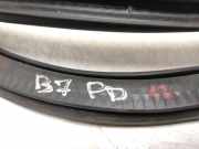 Türgummi links vorne VW Passat B7 (362)