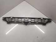 Kühlergrill unten BMW X3 (F25) 8048096