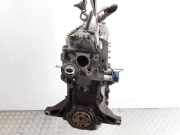 Motor ohne Anbauteile (Benzin) Mazda Demio (DW) 5D8