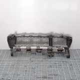 Kühlergrill unten Dacia Sandero II (SD) 622544633