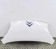 Motorhaube Citroen C1 () 7901L8