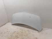 Motorhaube MERCEDES-BENZ CITAN Combi (415) 111 CDI (415.601, 415.603, 415.605) 656294916R