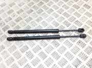 Gasfeder für Motorhaube BMW X6 (F16, F86) 7308065