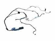 Türverkabelung hinten links BMW 3 Gran Turismo (F34) 330 d xDrive 2363410