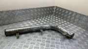 Linke metallische Seitenschwellerabdeckung HYUNDAI TERRACAN (HP) 2.9 CRDi 4WD