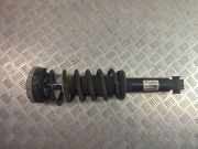 Stoßdämpfer links hinten BMW X3 (F25) 33526796317