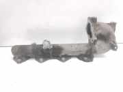 Ansaugbrücke RENAULT ESPACE IV (JK0/1_) 2.0 dCi (JK03, JK04) 1213