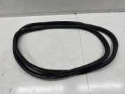 Türgummi links vorne Peugeot 3008 II (MC, MR, MJ, M4)