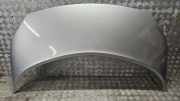 Motorhaube RENAULT GRAND SCÉNIC II (JM0/1_) 1.9 dCi (JM0G, JM12, JM1G, JM2C)
