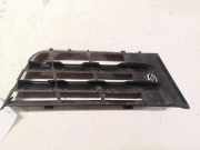 Gitter vorne unten RENAULT LAGUNA II (BG0/1_) 1.9 dCi (BG1A, BG1V) 20101013