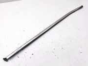 Vertikale Verkleidung an der hinteren linken Tür CITROËN C4 III (BA_, BB_, BC_) e-C4 (BCZKXC)