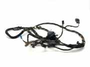 Heckklappe Rückfahrkamera BMW 4 Coupe (F32, F82) 428 i 19344411 9240351