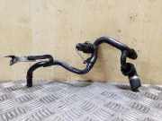 Schlauch Kühlung AUDI A6 (4F2, C6) 3.0 TDI quattro