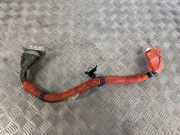 Motor Kabelbaum TOYOTA MIRAI (JPD1_) FCV (JPD10_) G114862010