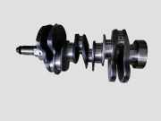 Kurbelwelle LAND ROVER RANGE ROVER SPORT (L320) 2.7 D 4x4