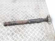 Stoßdämpfer hinten links