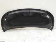 Motorhaube Citroen C3 Picasso (SH) 24R0304015