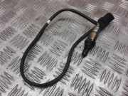 Sauerstoffsensor (Lambdasensor) SKODA OCTAVIAII (1Z3) 1.6 TDI 03L906262A