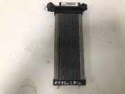 Elektrischer Schulterschulterkühler AUDI A4 (8EC, B7) 3.0 TDI quattro 8E2819011