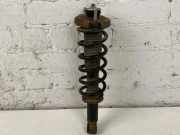 Stoßdämpfer hinten links TOYOTA COROLLA Verso (ZER_, ZZE12_, R1_) 2.0 D-4D (CUR10_) 485300F020