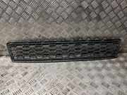 Gitter vorne unten BMW X3 (F25) xDrive 20 d 8048097
