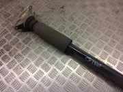 Stoßdämpfer hinten links BMW X2 (F39) X2 sDrive20i