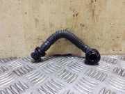 Entlüftungsschlauch FORD FOCUS IV (HN) 1.0 EcoBoost CM5G6K817BA