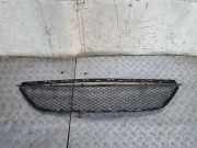 Gitter vorne unten MERCEDES-BENZ CLS (C218) CLS 250 CDI / BlueTEC / d (218.303, 218.304) A2188851822