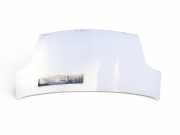 Motorhaube RENAULT TRAFIC II Furgon (FL) 2.0 dCi 115 (FL01, FL0U)