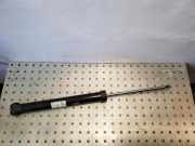 Stoßdämpfer hinten rechts FIAT GRANDE PUNTO (199_) 1.2 00519431980