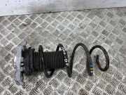 Feder vorne links SKODA ENYAQ iV SUV (5AC, 5AZ) 85 1EA412331B