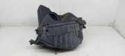 Luftfilterkasten AUDI A4 Cabrio (8H7, B6, 8HE, B7) 2.0 TDI 038133835J