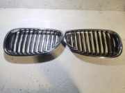 Vorderer oberer Gitter BMW 5 (E60) 530 d 10627110