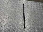 Heckklappe Gasdruckfeder links MERCEDES-BENZ C (W202) C 220 D (202.121) 2029800364