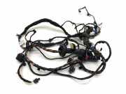 Kabel der vorderen linken Tür BMW 7 (G11, G12) 750 i, Li xDrive 11107810 g422671