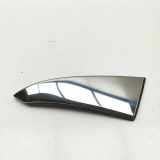 Kofferraumdeckelverkleidung