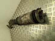 Pneumatischer Stoßdämpfer vorne links LAND ROVER RANGE ROVER IV (L405) 3.0 D 4x4 CPLA3C286AC