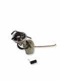 Kraftstofftankpumpe AUDI A4 Cabrio (8H7, B6, 8HE, B7) 2.4