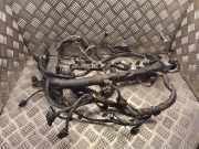 Motor Kabelbaum MERCEDES-BENZ VITO / MIXTO Furgon (W639) 113 CDI 4x4 a6511501388