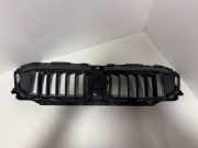 Kühlerluftumlenker BMW 3 (G20, G28) 3 (G20) 330 i 51745A2DB49