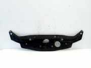 Anzeigetafel Rahmen HONDA CIVIC VIII Hatchback (FN, FK) 1.8 (FN1, FK2) 71125SMGE120