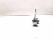 Xenon-Lampe BMW X5 (E53) 3.0 d