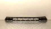 Gitter vorne unten POLESTAR 2 (P) EV 31663953